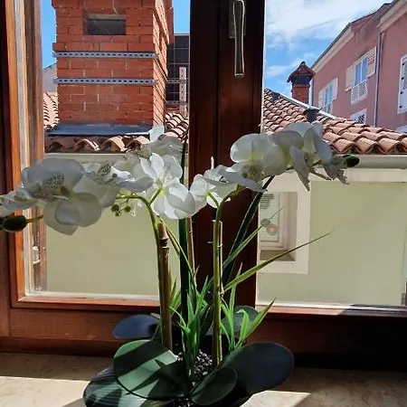 Holiday House Erna Vakantiehuis *